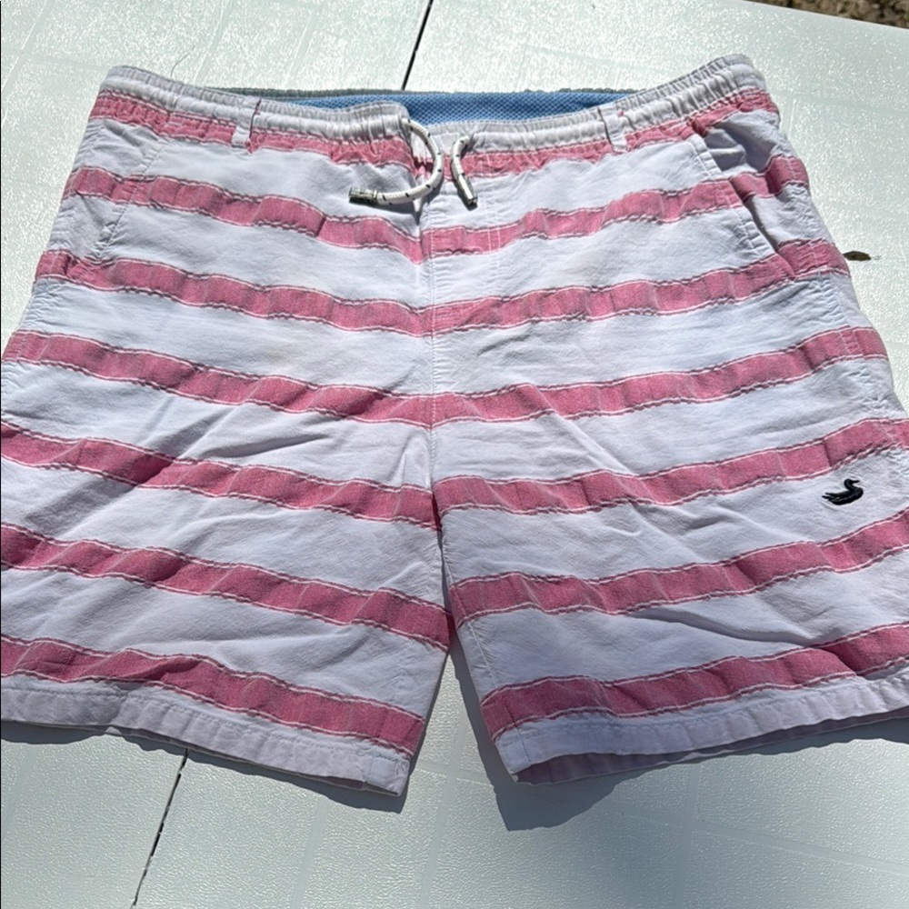 Boys Southern Marsh Pink and White Striped Swim Trunks